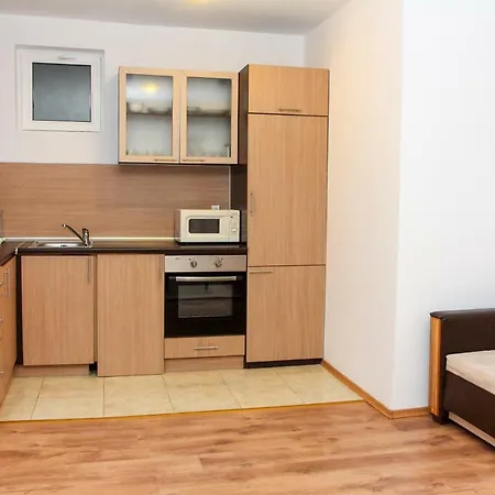 Guest Salena 公寓式酒店 3*