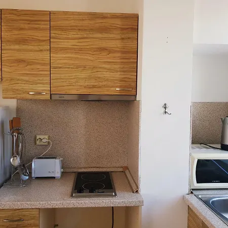 Guest Salena 公寓式酒店 3*