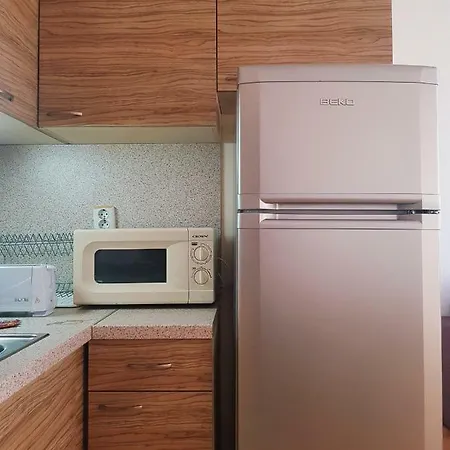 Guest Salena 阳光海滩