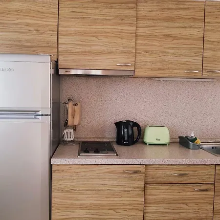 Guest Salena 公寓式酒店 3*