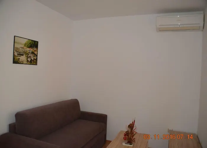 Guest Salena Солнечный берег