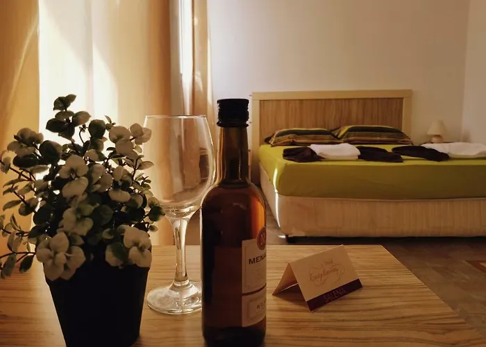 Апарт-отель Guest Salena