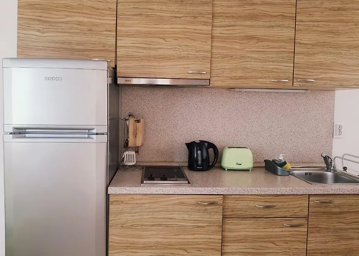 Guest Salena Апарт-отель 3*